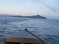 Bering Strait Crossing 225